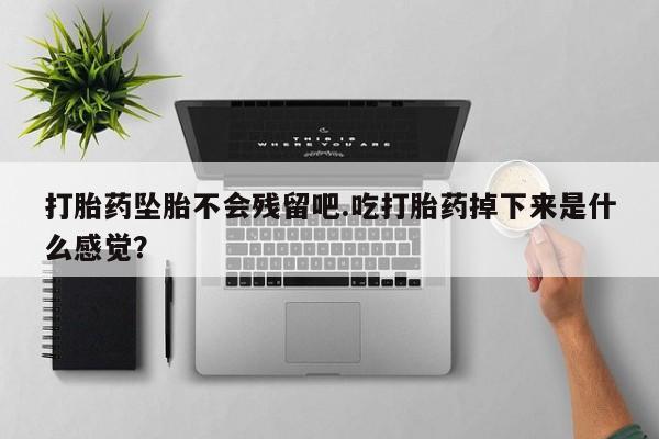 网上打胎药专门卖店打胎药坠胎不会残留吧.吃打胎药掉下来是什么感觉？