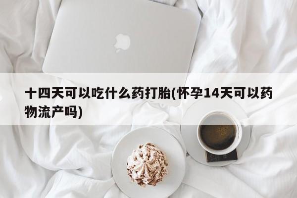 网上打胎药专门卖店十四天可以吃什么药打胎(怀孕14天可以药物流产吗)